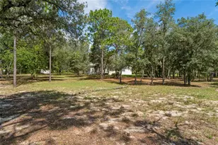 12408 Kanawha Dr, Weeki Wachee, FL 34614 - Photo 72