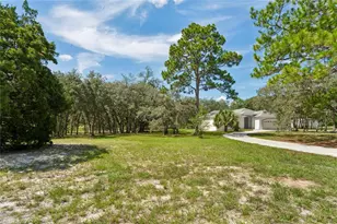 12408 Kanawha Dr, Weeki Wachee, FL 34614 - Photo 8