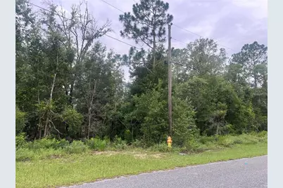 11052 N Iron Drive, Citrus Springs, FL 34434 - Photo 2