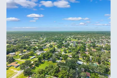2770 Buckhorn Oaks Drive, Valrico, FL 33594 - Photo 50
