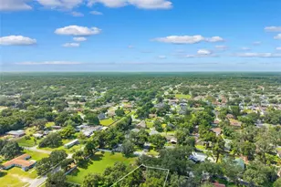 2770 Buckhorn Oaks Dr, Valrico, FL 33594 - Photo 50