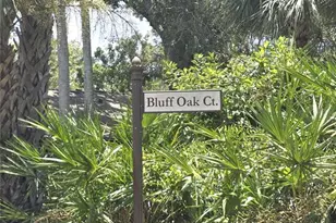4045 Bluff Oak Ct, Palm Harbor, FL 34684 - Photo 2