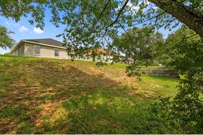 31407 Satinleaf Run, Brooksville, FL 34602 - Photo 12