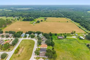 31407 Satinleaf Run, Brooksville, FL 34602 - Photo 52