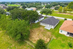 31407 Satinleaf Run, Brooksville, FL 34602 - Photo 46