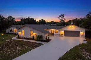 7231 River Country Dr, Weeki Wachee, FL 34607 - Photo 2