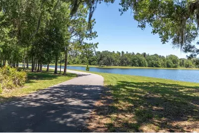 3343 Heart Pine Avenue, Odessa, FL 33556 - Photo 50