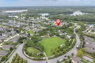 3343 Heart Pine Ave, Odessa, FL 33556 - Photo 4