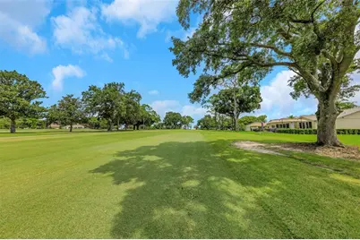1308 Gillespie Drive, Palm Harbor, FL 34684 - Photo 4
