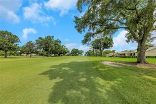 1308 Gillespie Dr, Palm Harbor, FL 34684 - Photo 4