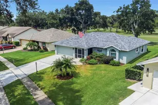 1308 Gillespie Dr, Palm Harbor, FL 34684 - Photo 1