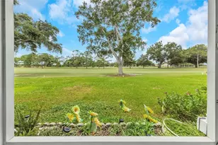 1308 Gillespie Dr, Palm Harbor, FL 34684 - Photo 24