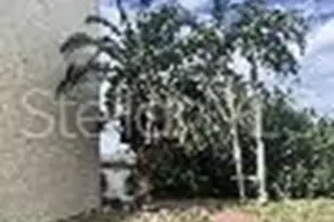 800 Cove Cay Dr, Clearwater, FL 33760 - Photo 32