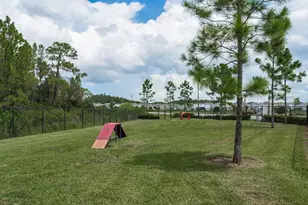 16119 Glowing Grove Ave, Odessa, FL 33556 - Photo 46
