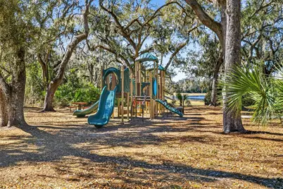 5954 Caldera Ridge Drive, Lithia, FL 33547 - Photo 94