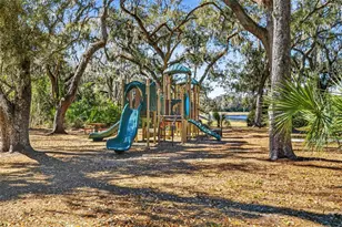 5954 Caldera Ridge Dr, Lithia, FL 33547 - Photo 94