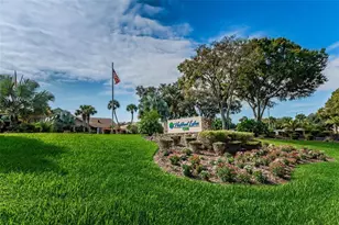 3410 Rugby Ct, Palm Harbor, FL 34684 - Photo 42