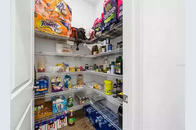 21676 Snowy Orchid Terrace, Land O Lakes, FL 34637 - Photo 16