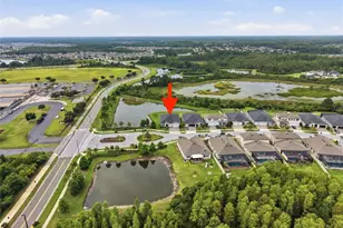 21676 Snowy Orchid Terrace, Land O Lakes, FL 34637 - Photo 40