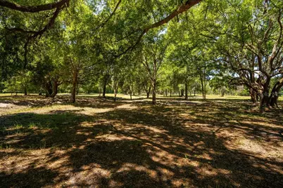0 Miller Road, Dade City, FL 33525 - Photo 4