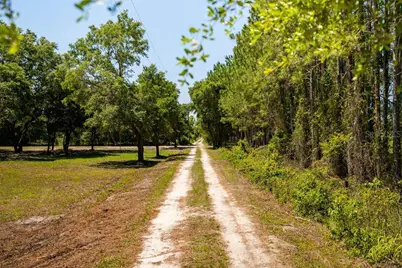 0 Miller Road, Dade City, FL 33525 - Photo 6