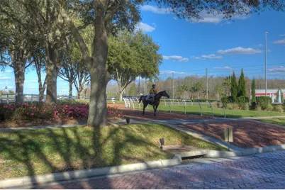 26923 Affirmed Drive, Wesley Chapel, FL 33544 - Photo 58