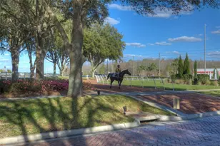 26923 Affirmed Dr, Wesley Chapel, FL 33544 - Photo 58