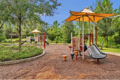 29657 Picana Lane, Wesley Chapel, FL 33543 - Photo 72