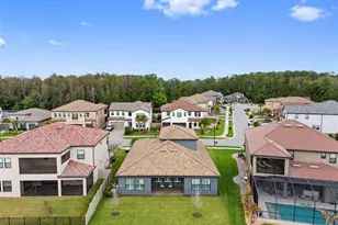 29657 Picana Ln, Wesley Chapel, FL 33543 - Photo 64