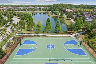 29657 Picana Ln, Wesley Chapel, FL 33543 - Photo 88