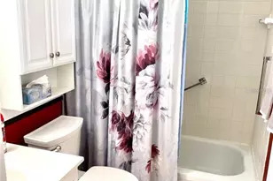 10032 65th Ave N, Saint Petersburg, FL 33708 - Photo 18