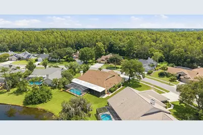 6513 Thoroughbred Loop, Odessa, FL 33556 - Photo 70