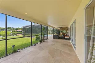 6513 Thoroughbred Loop, Odessa, FL 33556 - Photo 60