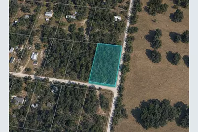 Unassigned SE 67th Place, Morriston, FL 32668 - Photo 1