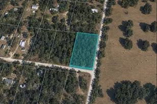 Unassigned SE 67th Pl, Morriston, FL 32668 - Photo 1