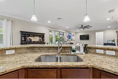 23958 Terracina Court, Land O Lakes, FL 34639 - Photo 70