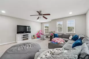 23958 Terracina Ct, Land O Lakes, FL 34639 - Photo 64