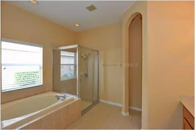3132 Sago Point Court, Land O Lakes, FL 34639 - Photo 6
