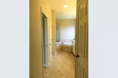 8828 Tropical Palm Drive, Tampa, FL 33626 - Photo 14
