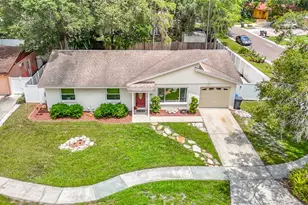 11007 Airview Dr, Tampa, FL 33625 - Photo 4