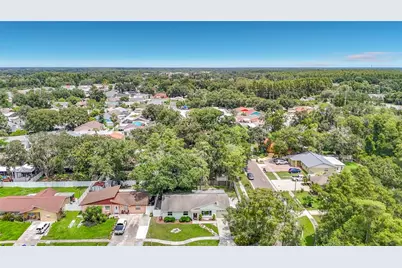 11007 Airview Drive, Tampa, FL 33625 - Photo 6