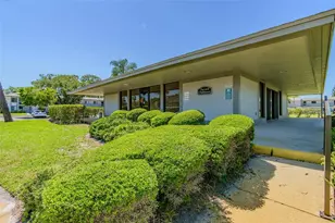 129 Nancy Dr, Oldsmar, FL 34677 - Photo 48
