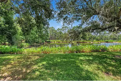 9402 Hunters Pond Drive, Tampa, FL 33647 - Photo 46