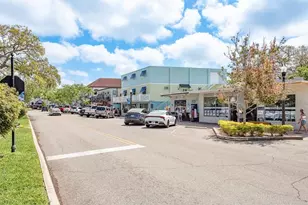 970 Virginia St, Dunedin, FL 34698 - Photo 22
