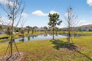 5055 Captain Davis Dr, Wimauma, FL 33598 - Photo 48