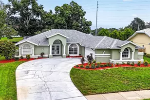 2817 Jarvis Cir, Palm Harbor, FL 34683 - Photo 44