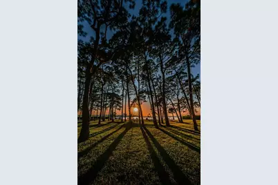 2700 Bayshore Boulevard #3208, Dunedin, FL 34698 - Photo 84