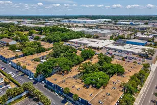4335 Aegean Dr, Tampa, FL 33611 - Photo 40