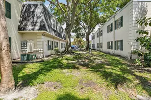 4335 Aegean Dr, Tampa, FL 33611 - Photo 58