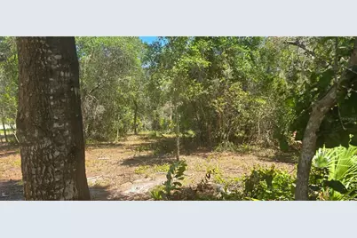 Ne 236th Court, Fort Mc Coy, FL 32134 - Photo 10